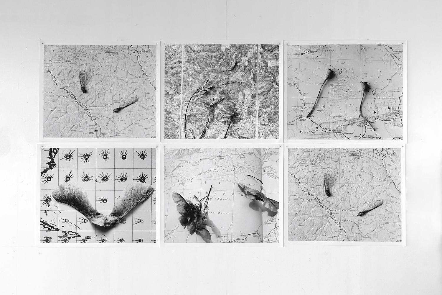 Atelier Atlas des graines
- Photographies - Agnès Prévost Atelier Atlas des graines
- Photographies - Agnès Prévost