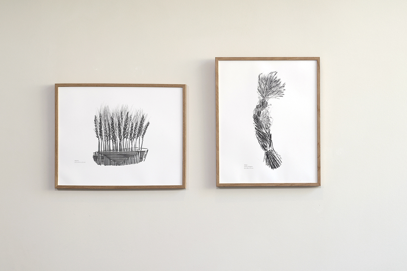 AGNES-PREVOST_Bouquets de moissons