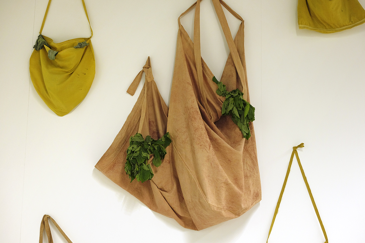 Atelier  - AGNES-PREVOST_Corps de plantes - Agnès Prévost